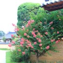 백연마을 이미지