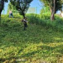 온양중학교 이미지