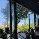 친구양꼬치 - 성남시 수정구 논골로 19 | [내돈내산]장유 친구양꼬치 방문 후기 🍺