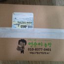 영순농장 이미지