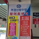 부경신항수협사우나 | 창원 여행 진해 용원어시장 갑오징어회 가격 포장 후기