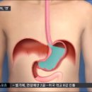 비스타한의원 이미지