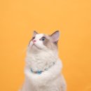 다온메디컬 이미지