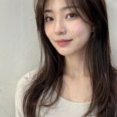 스테리헤어 네이버블로그