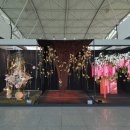 경기꽃화훼 이미지