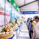 남해읍 공설주차장 이미지