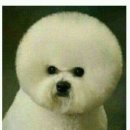 추장목장 이미지