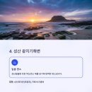 제주포인트투어 티스토리