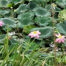 성은 공인중개사사무소 이미지