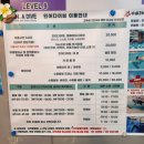 인어다이브 | 7월 5주차 일상(인어다이브 프리다이빙 후기)