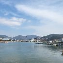 신항상회
