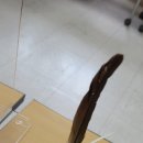 면수농장 이미지