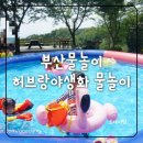 부산물놀이 허브랑야생화 물놀이 후기