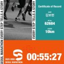 (주)서일퍼시픽 서울지점 | 2025년 MBN서울마라톤 10K 참가 후기 PB맛집