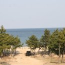 월송정매점 이미지