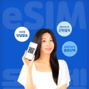 비나 이미지