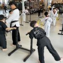 경희 태권 히어로즈 네이버블로그