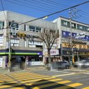 모모스위츠 이미지