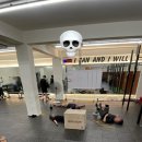 코알라패밀리 이미지