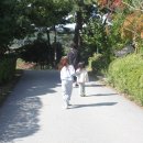 세리 이미지