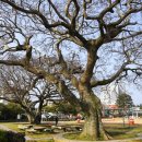 표선초등학교 운동장 이미지