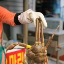 금빛바다 이미지