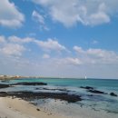 세화 엘라 이미지