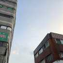 [일상]서울의 가성비 원룸촌,관악구 봉천동 원룸 임장 후기