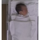 송파 소피아산후조리원 2주 후기 (일상을 곁들인..)