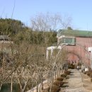 임립미술관 이미지