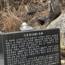 석화식당 - 송파구 | [식당후기] 축제 자연산 석화구이·찜 전남/장흥