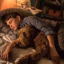 지니어스과학 이미지