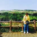 서연목장 이미지