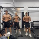 머슬 인 이미지