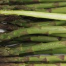 신촌농장 이미지