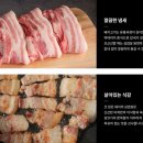 스피드푸드