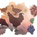 공덕농장 이미지