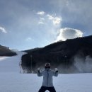 오투 | [태백 여행] 나혼자 즐기는 스키, 태백 스키장 오투리조트 솔직 후기 ⛷️