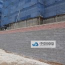 진아부식 이미지