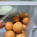푸드번창