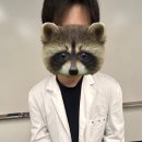 끼리끼리 이미지