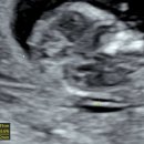 (주)대경 | 4월 2주 차 주간 일기(목 투명대, 부산 출장, 집밥, 대경 감자탕, 유치회관, 살목지)