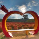 코스모스메디칼 이미지