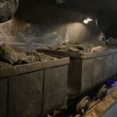 대화농협주유소 이미지