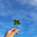 영양군 공설운동장 이미지