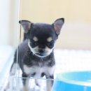 구월2동-16 이미지