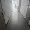 청송코아 이미지