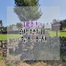 비자림 베리멍 | 제주도 한달살기 숙소 찾으시는 분들 보세요~조용하고 평화로운 숙소 추천드립니다~