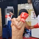 번영 복싱체육관 이미지