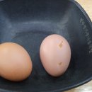 24시전주명가콩나물국밥강릉점
